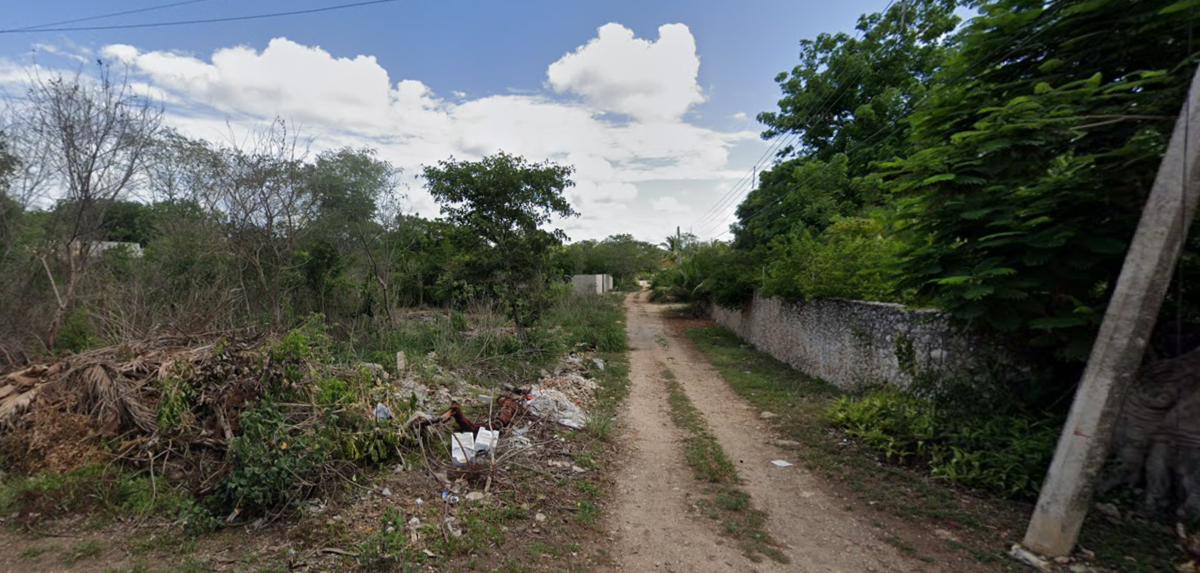 10 de 15