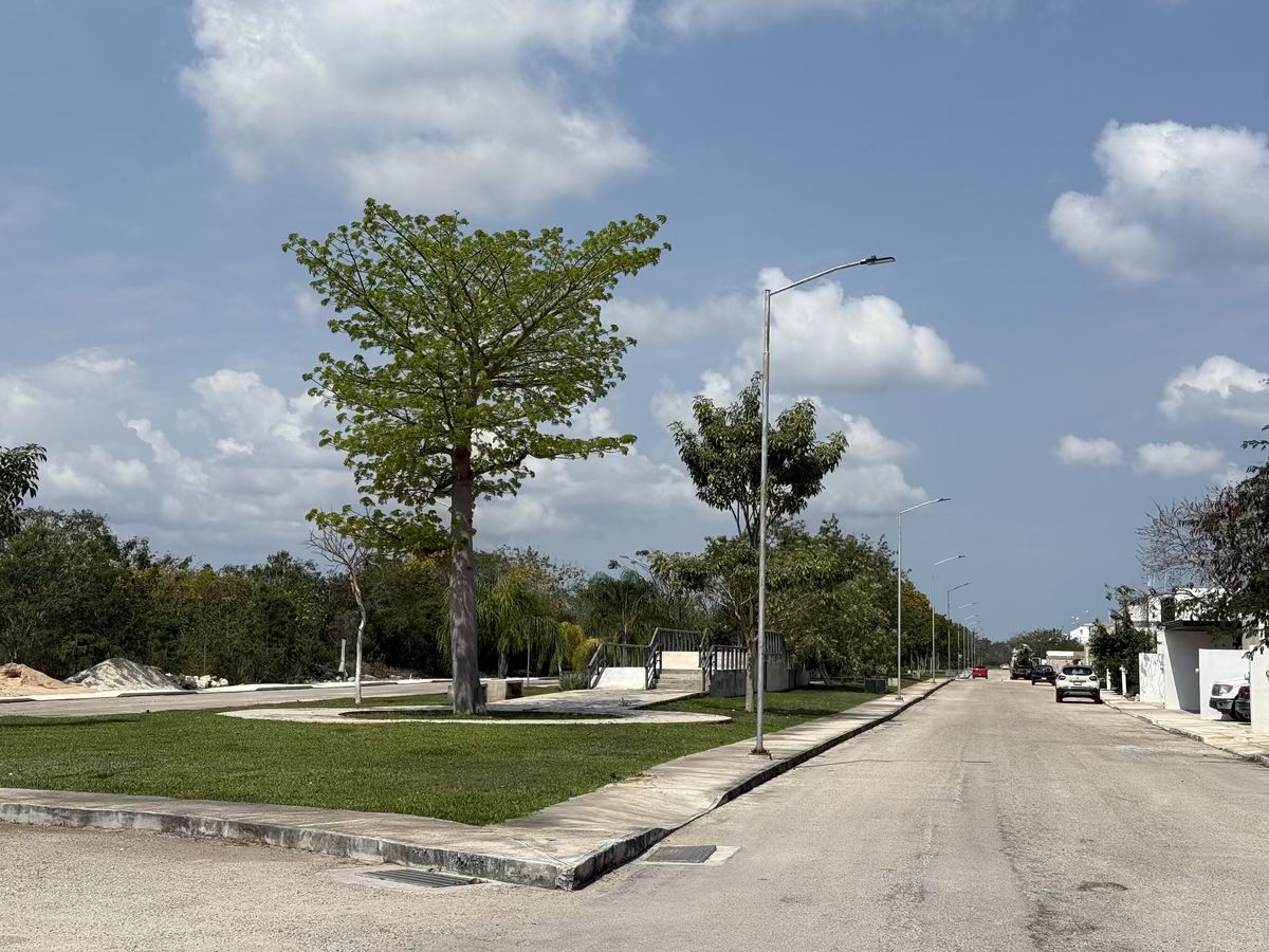 17 de 36