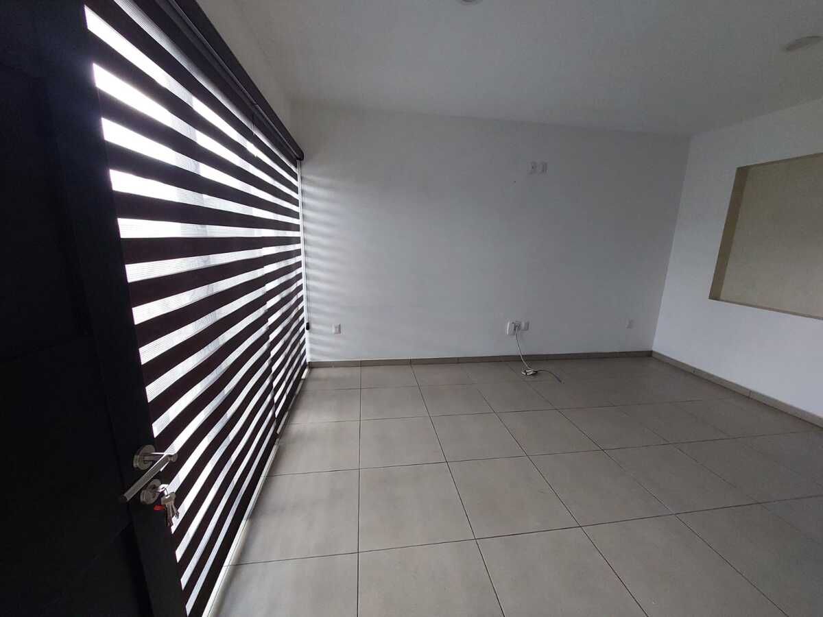 Imagen 7 de 9