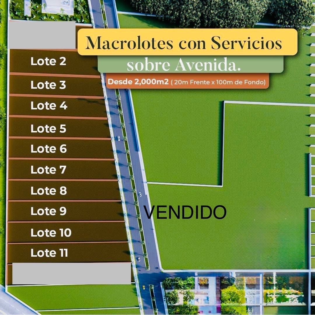 6 de 6