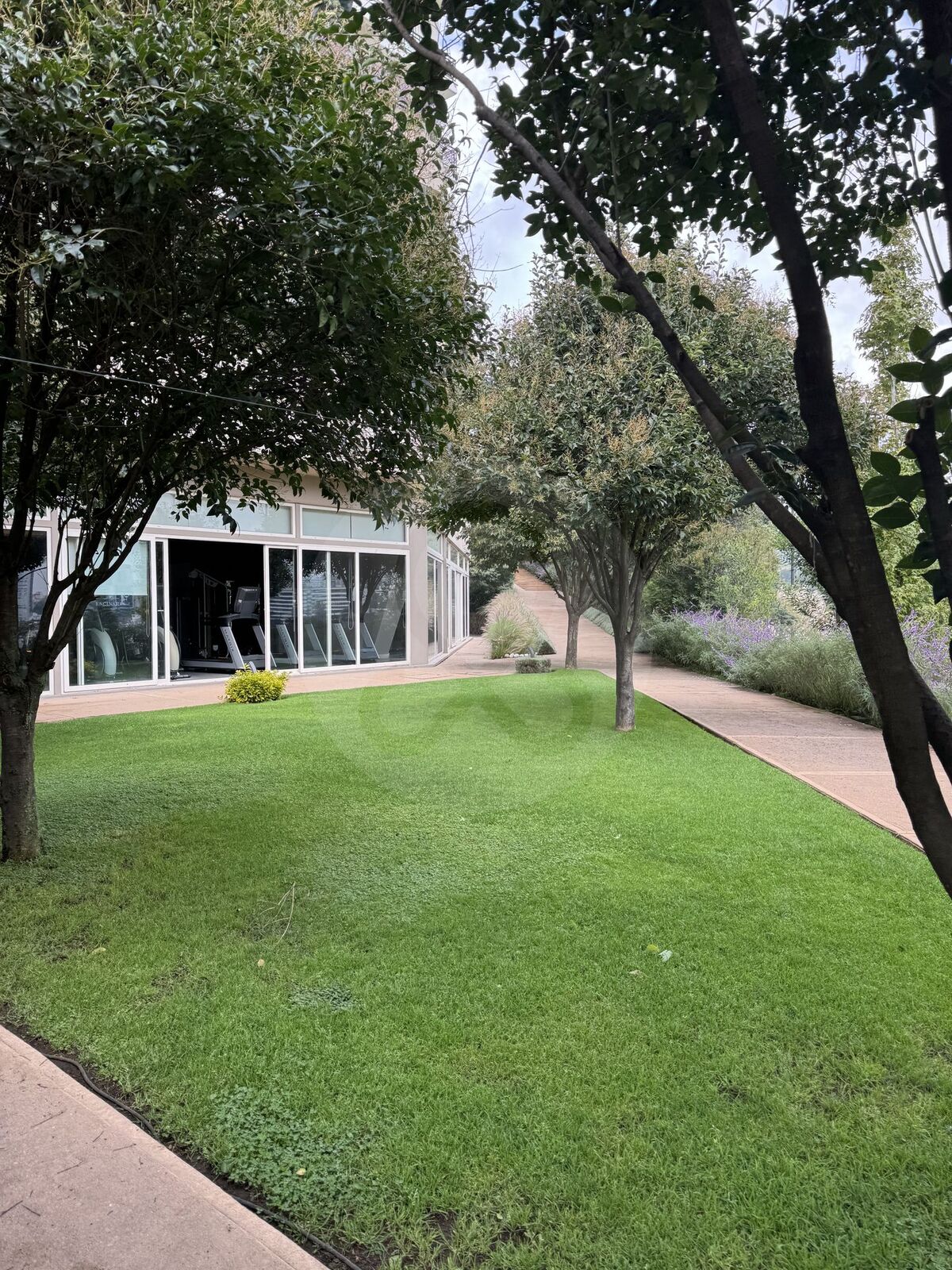 48 de 49