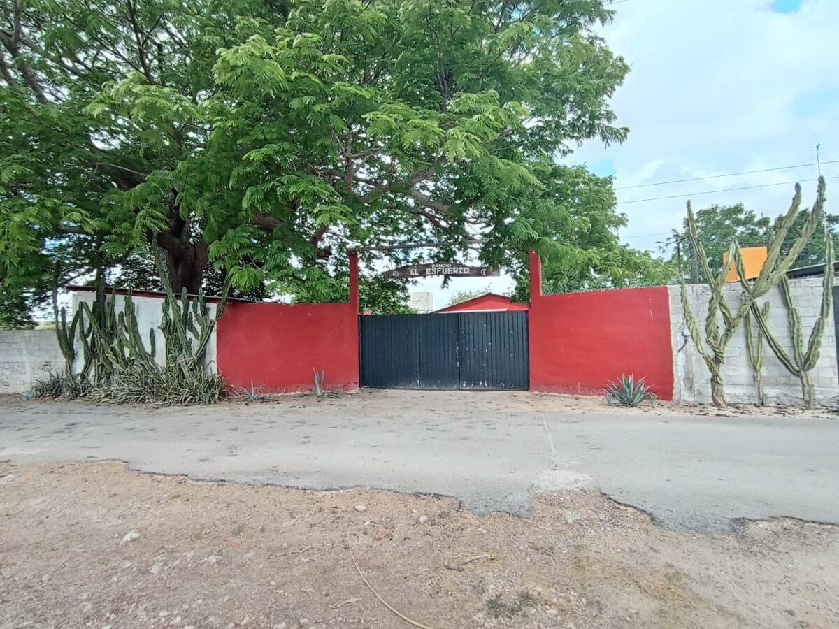 3 de 19