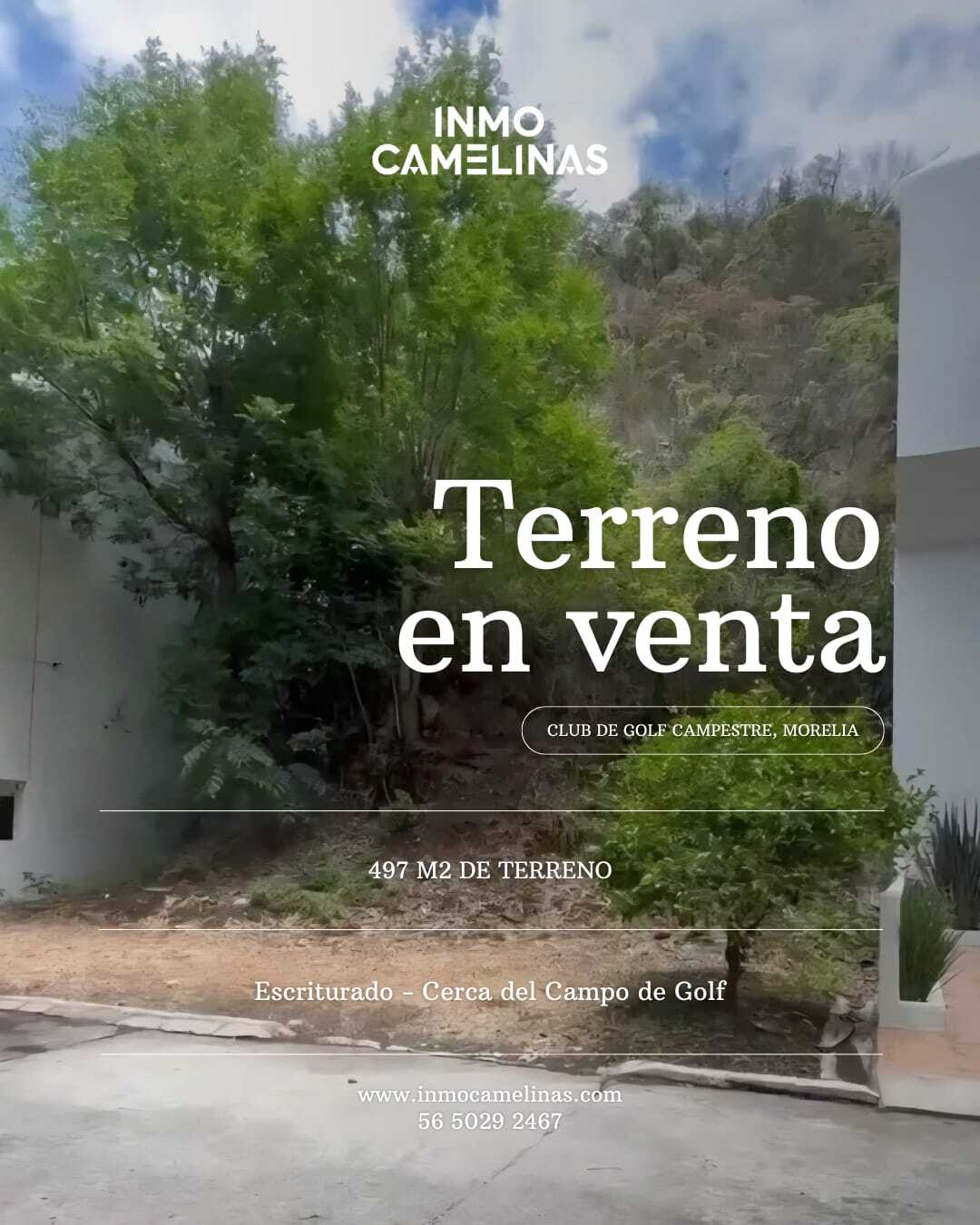 1 de 5