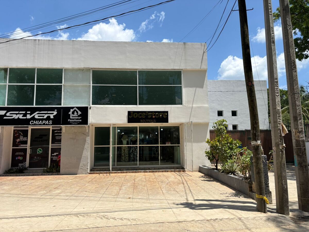 1 de 8