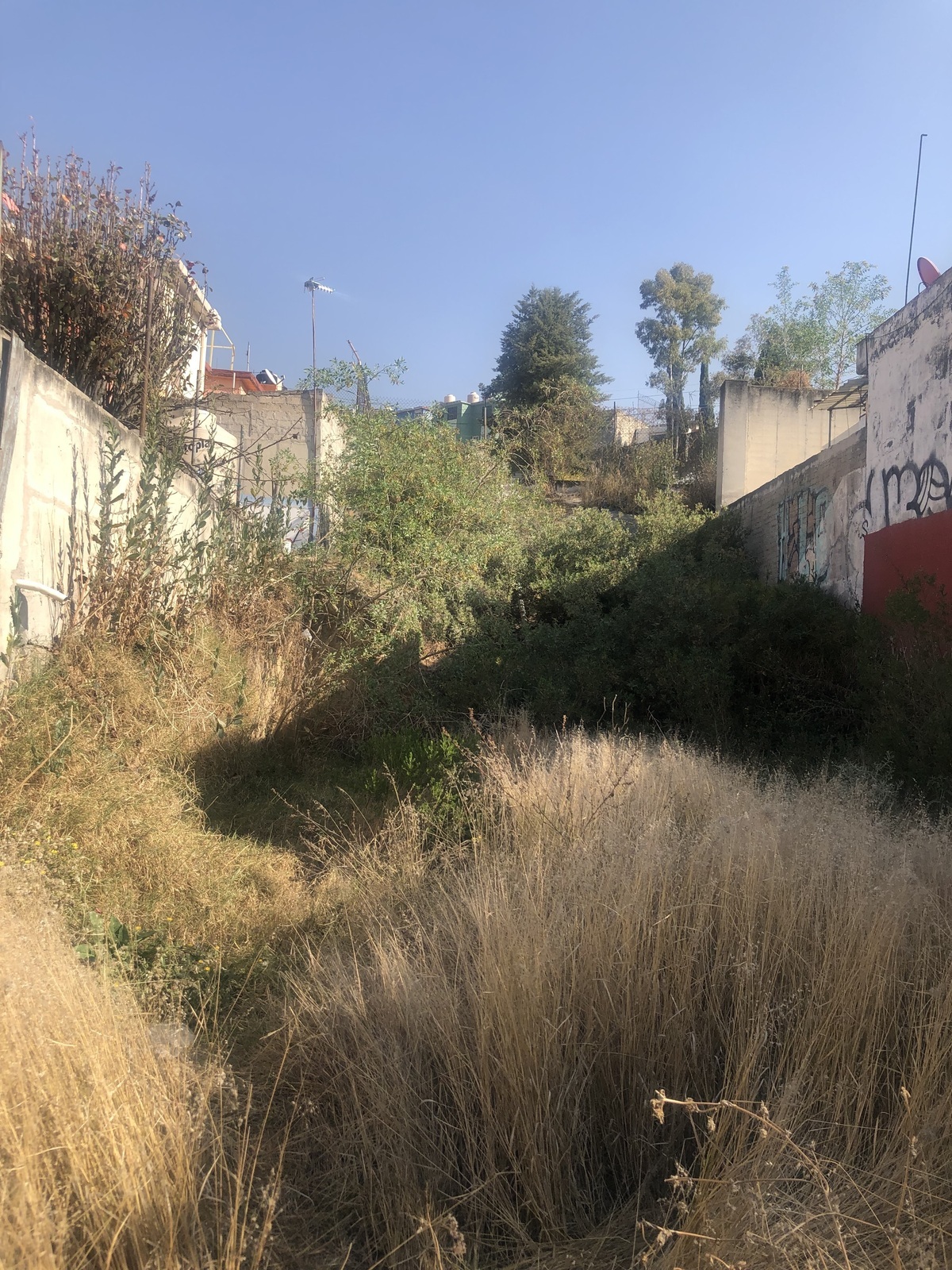 2 de 6
