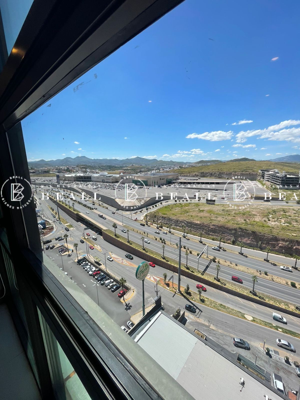 10 de 24