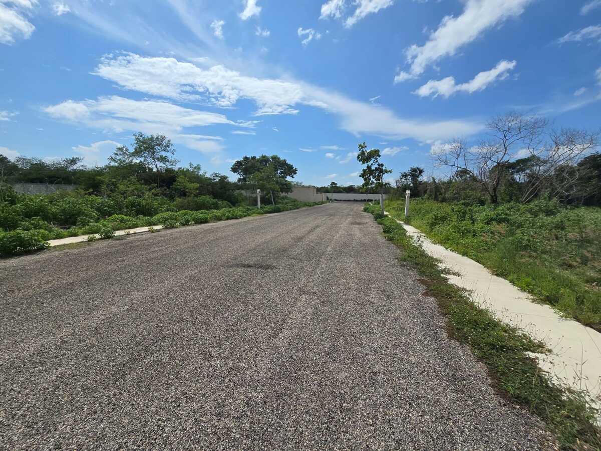 5 de 11