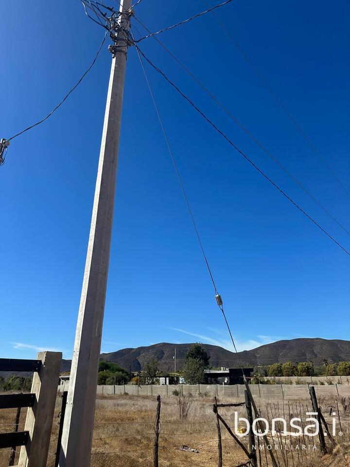 7 de 11