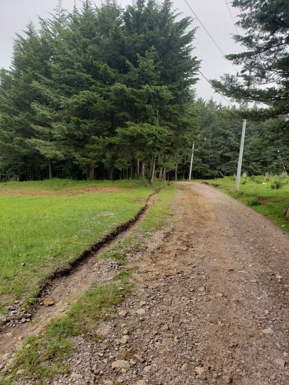 2 of 18