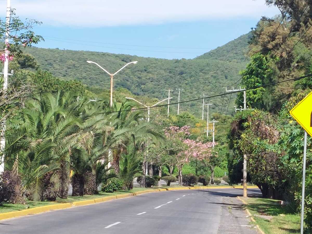 5 de 5