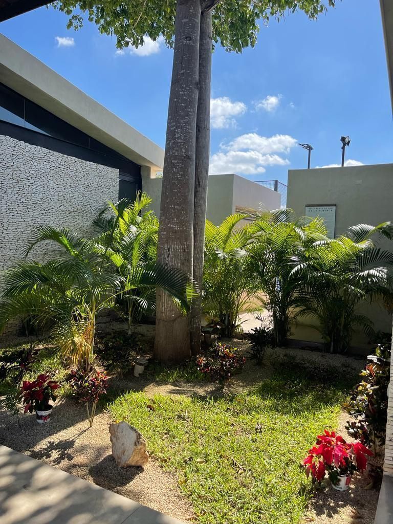 24 de 39