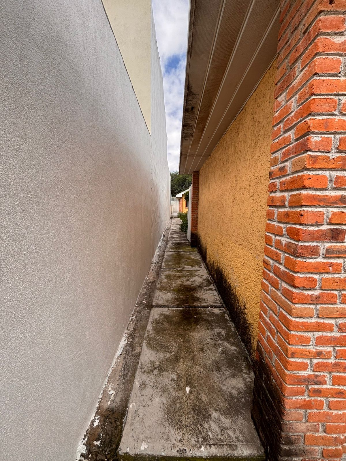 33 de 39