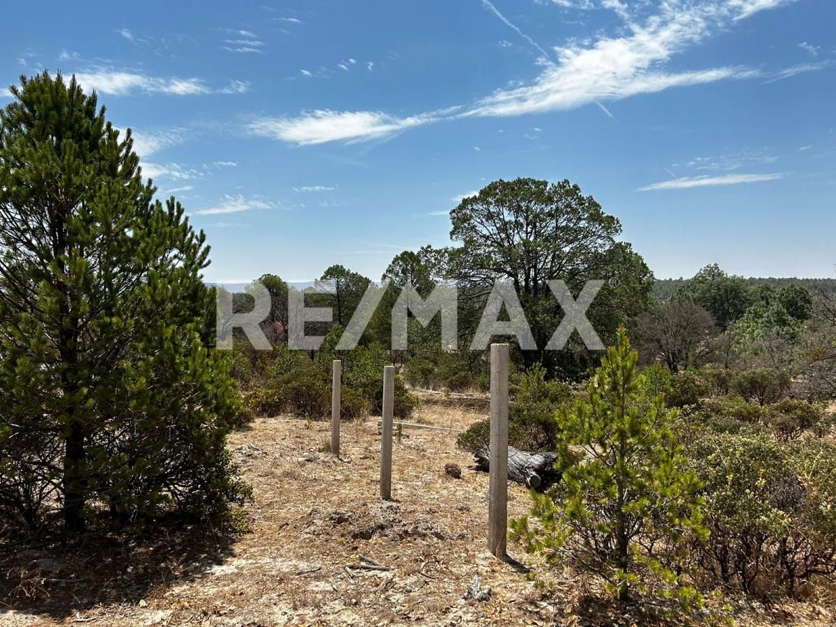 Terreno en venta Paseo de la Sierra Otinapa