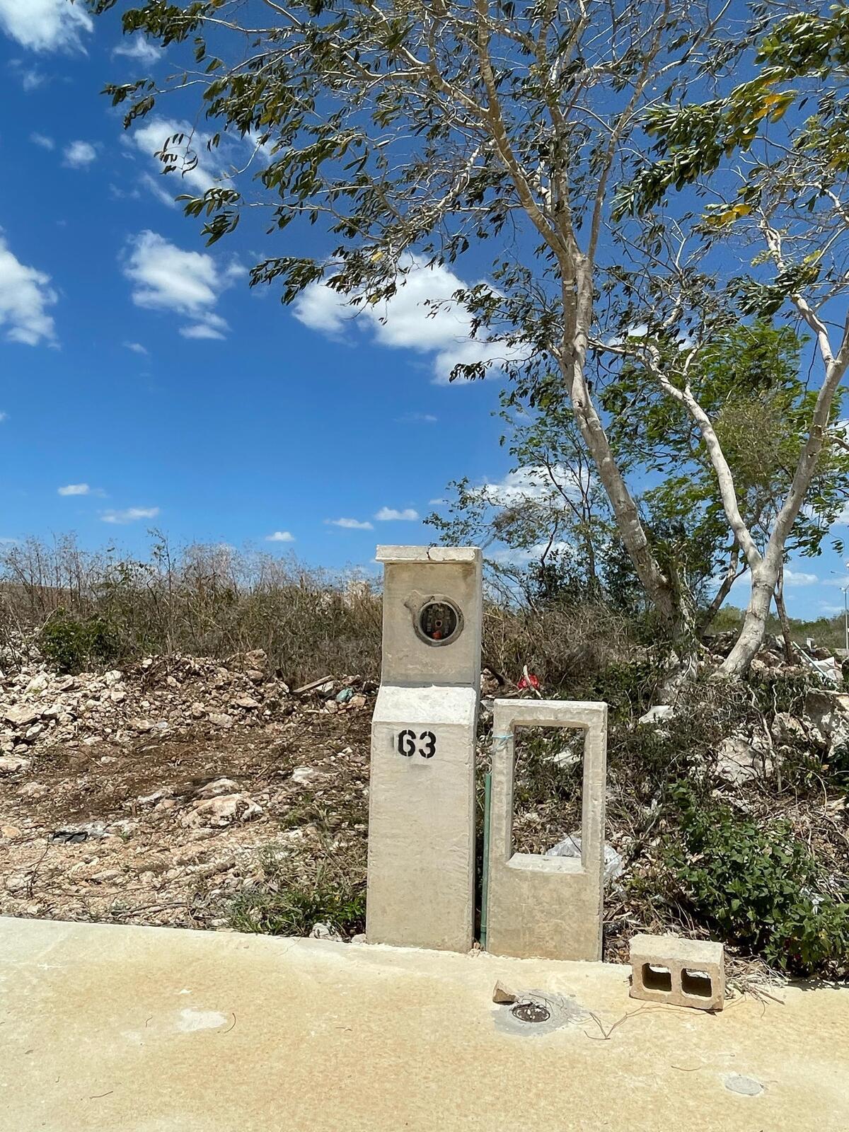 11 de 11
