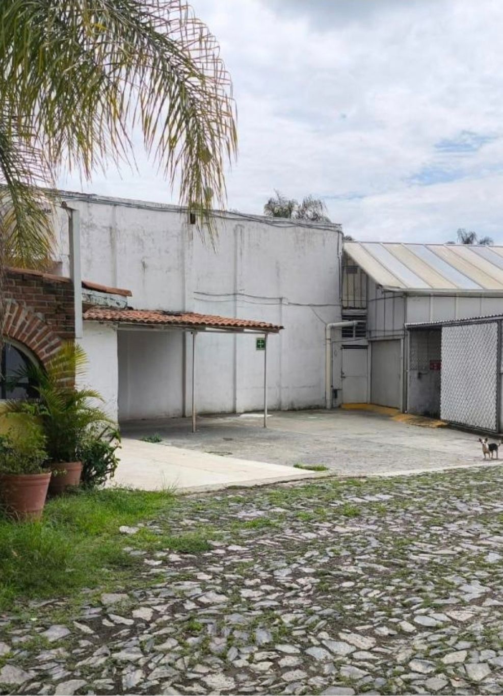 VENTA BODEGA EN EXCELENTE UBICACION FRENTE A BUGAMBILIAS. ZAPOPAN GUADALAJARA - foto 5