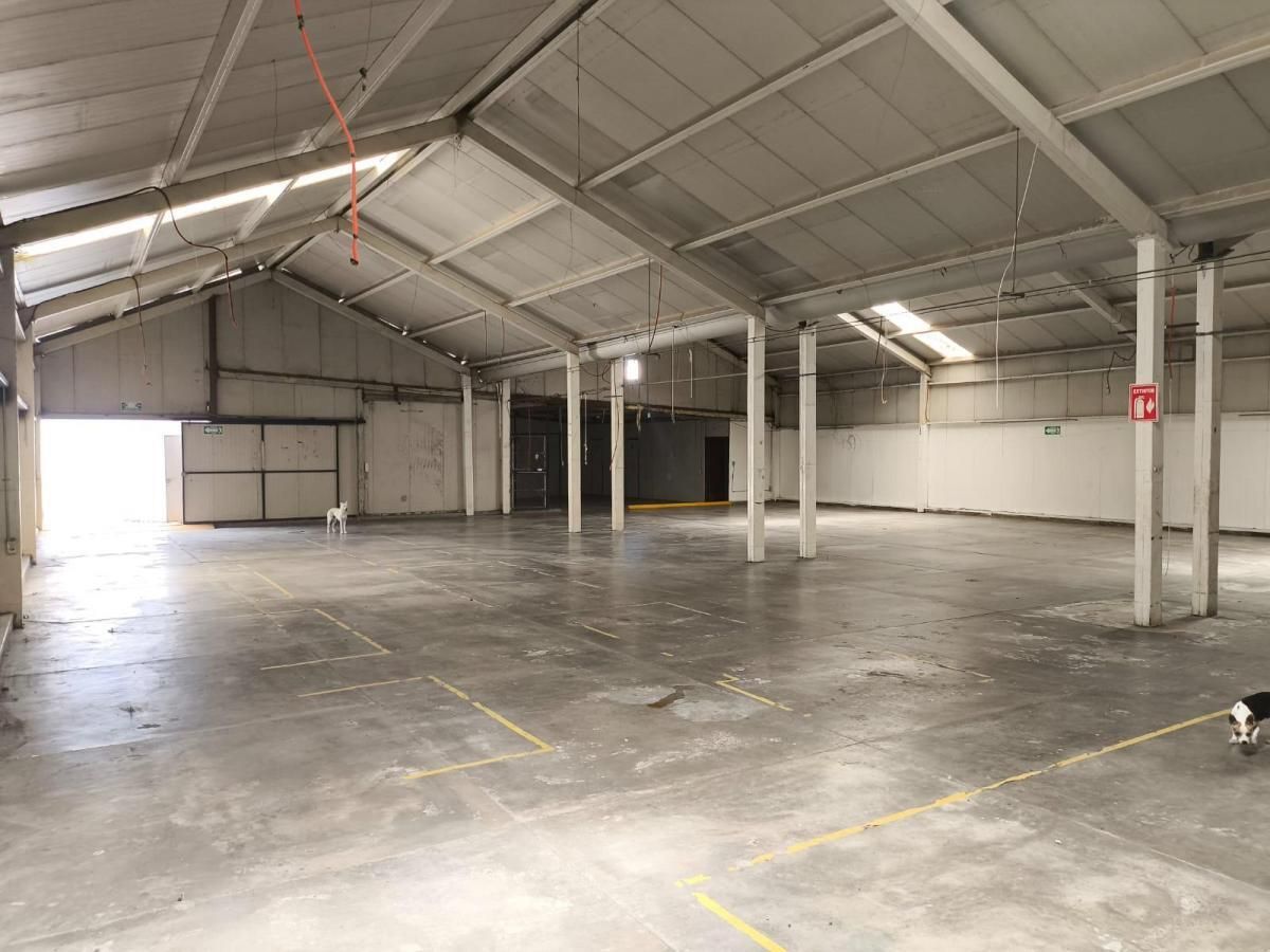 VENTA BODEGA EN EXCELENTE UBICACION FRENTE A BUGAMBILIAS. ZAPOPAN GUADALAJARA - foto 3