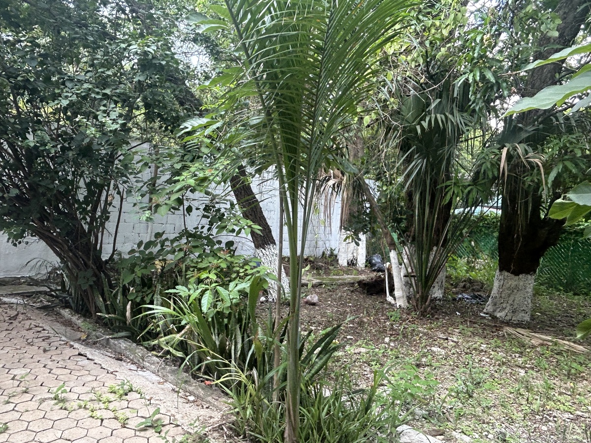 5 de 13