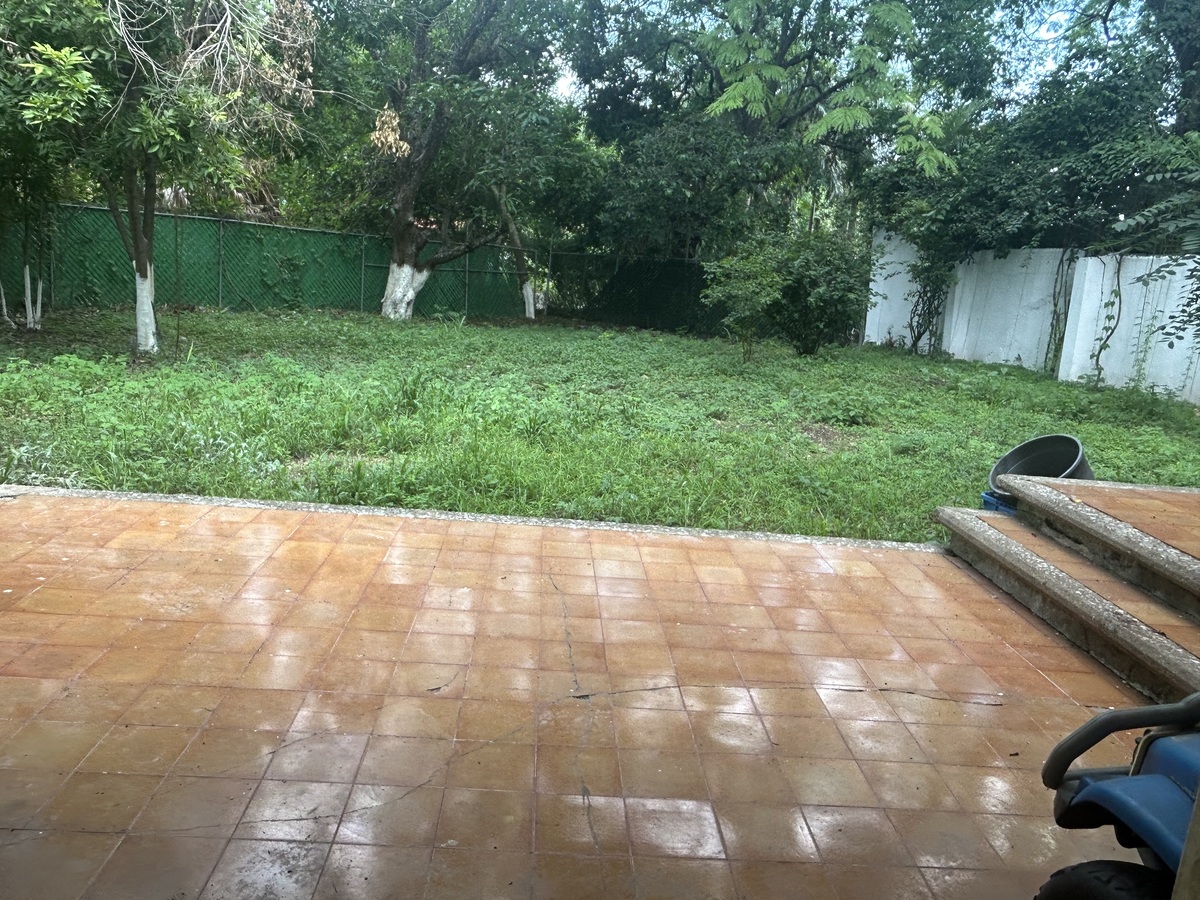 6 de 17