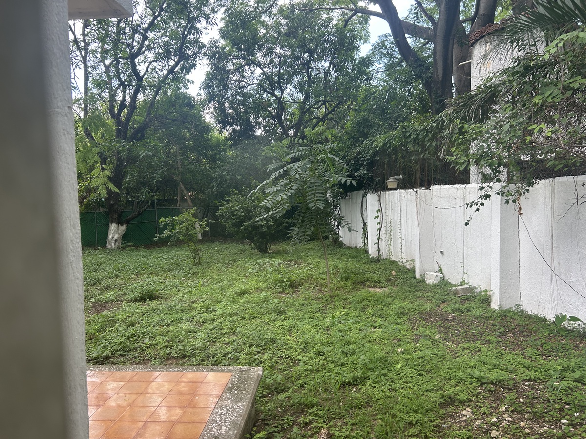 12 de 17