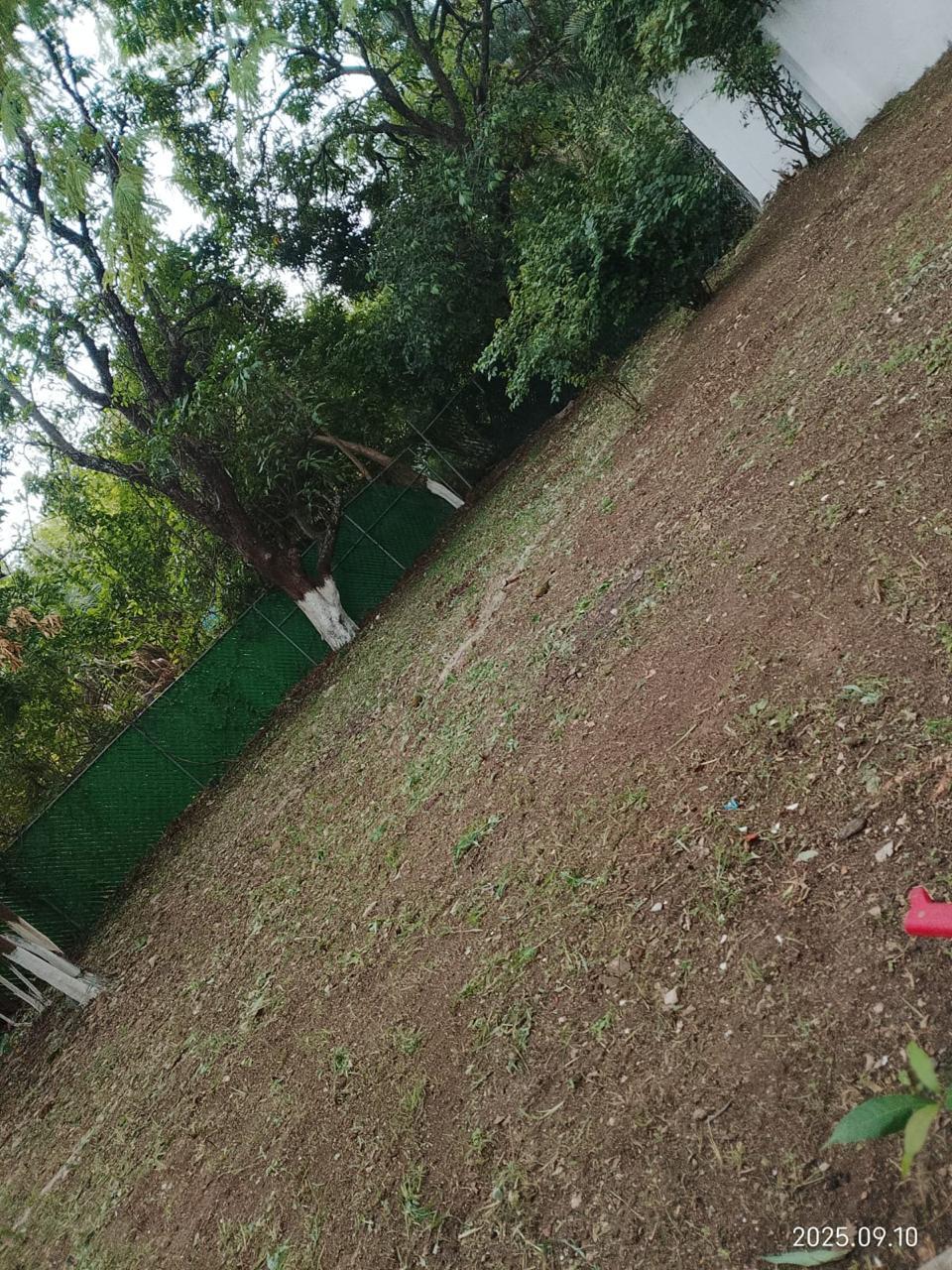 15 de 17