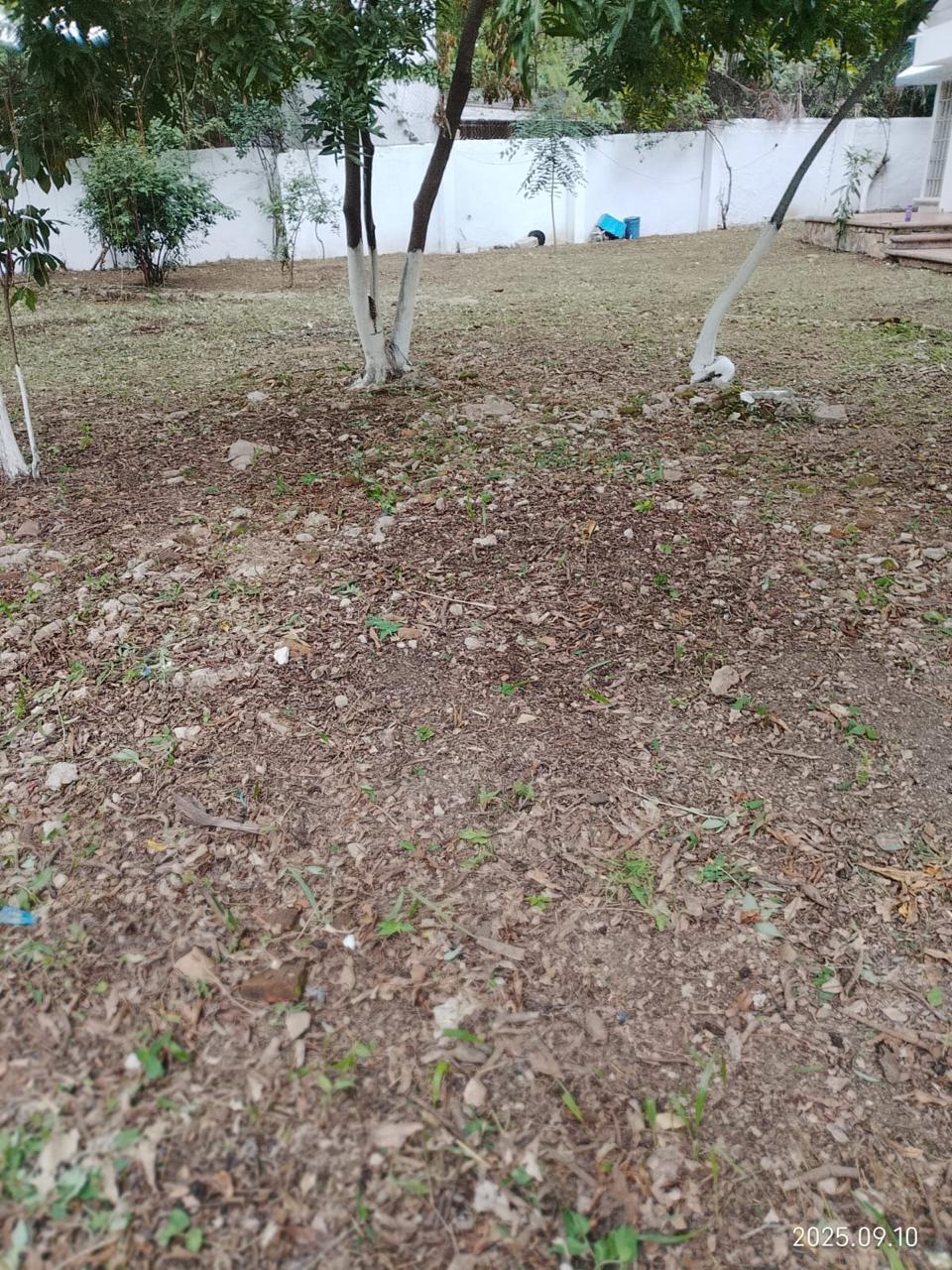 17 de 17
