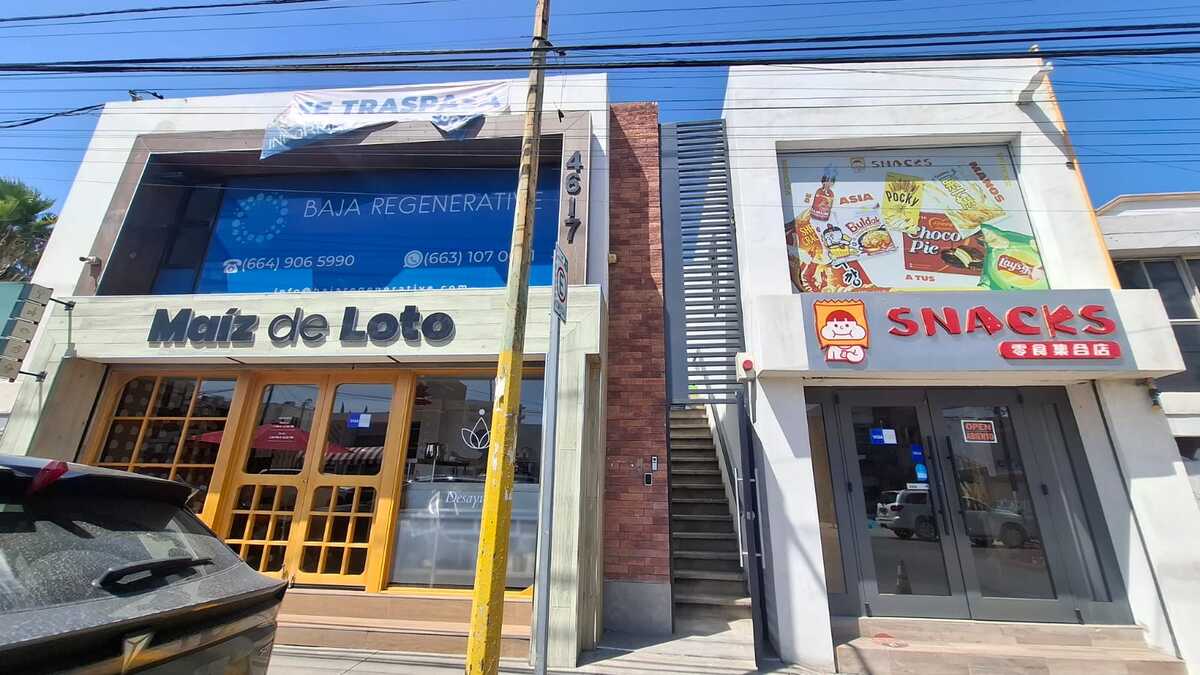 1 de 15