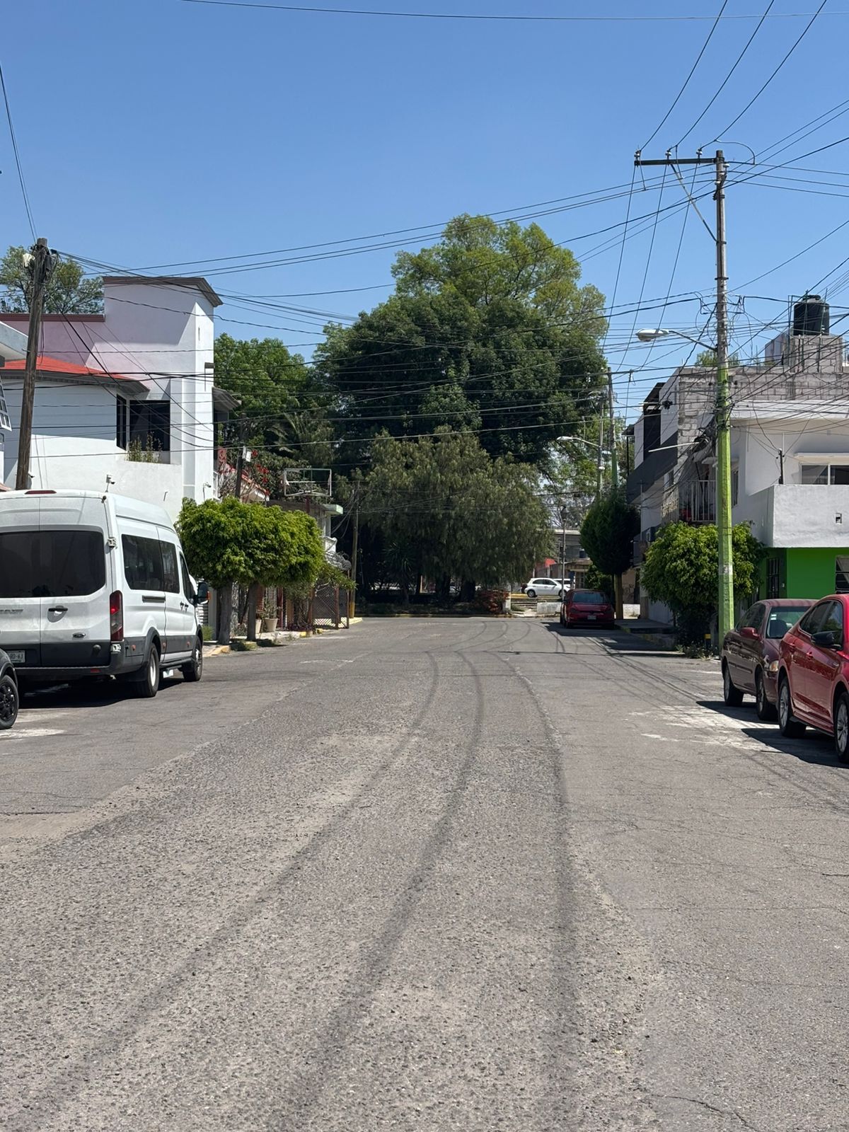 3 de 6