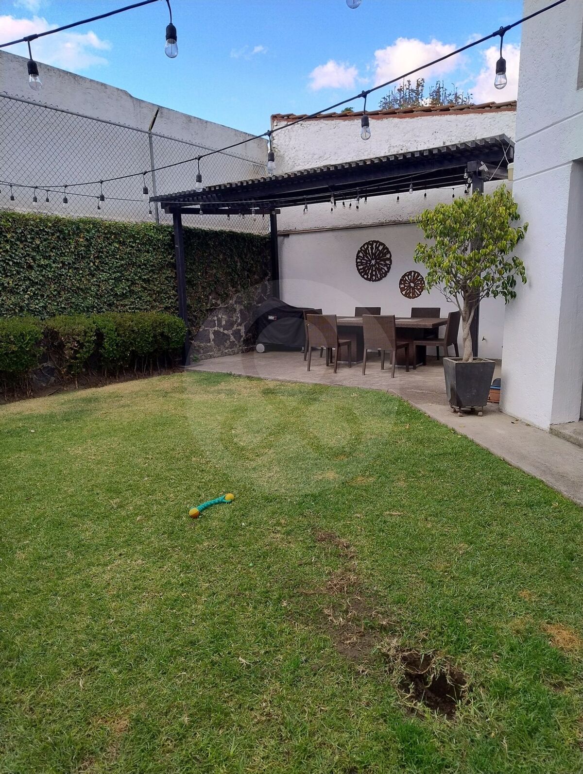 2 de 16