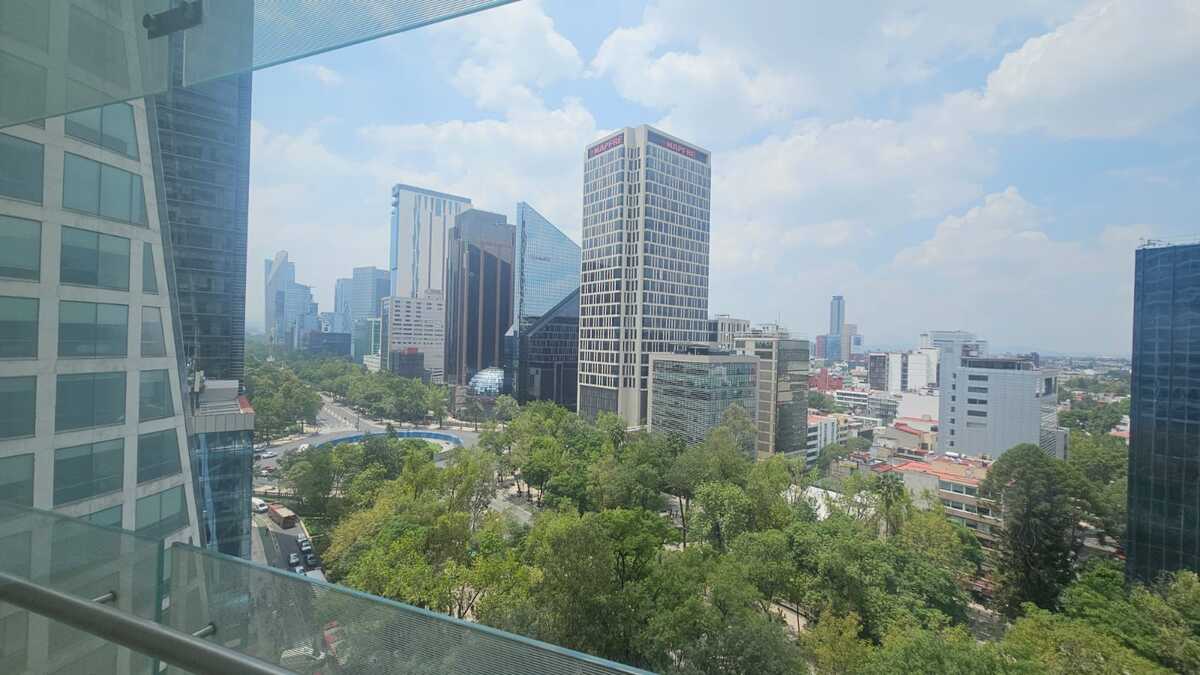 5 de 29
