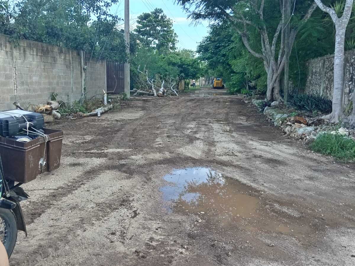3 de 10