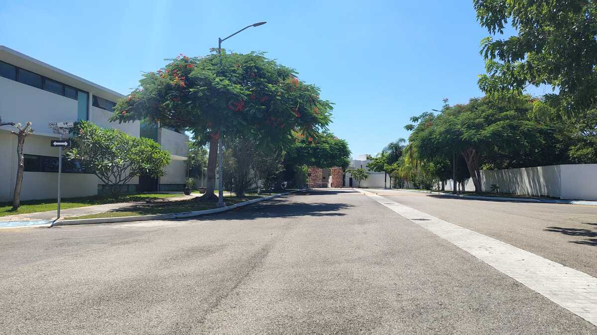 3 de 20
