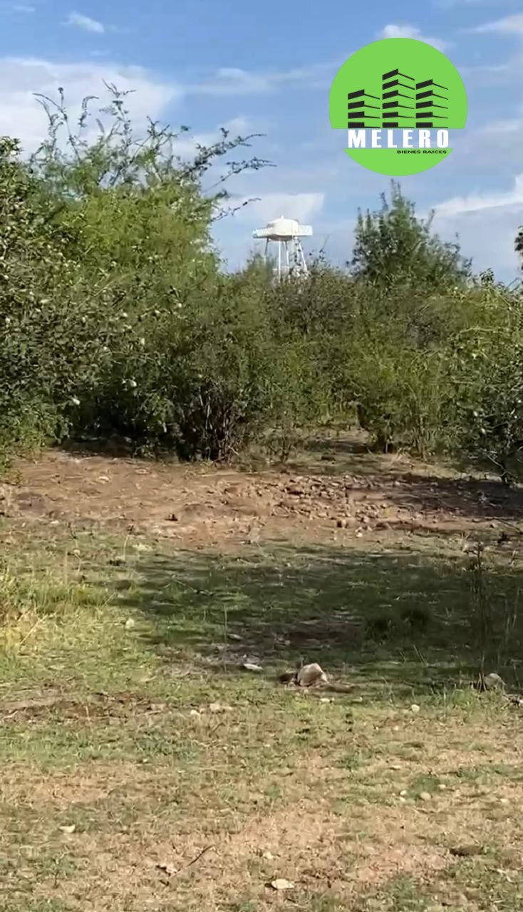 2 de 15