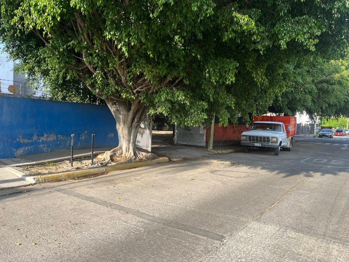 2 de 8