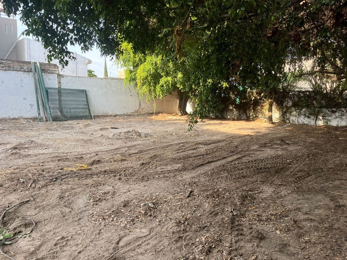 5 de 8