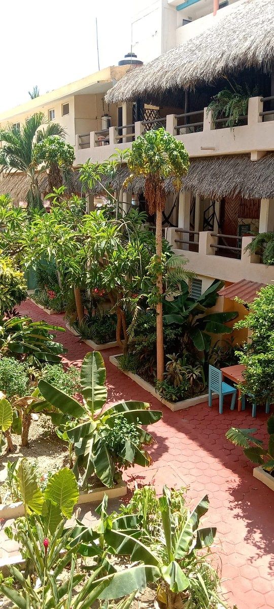 Villa in Zicatela, Santa María Colotepec, photo 30 of 48