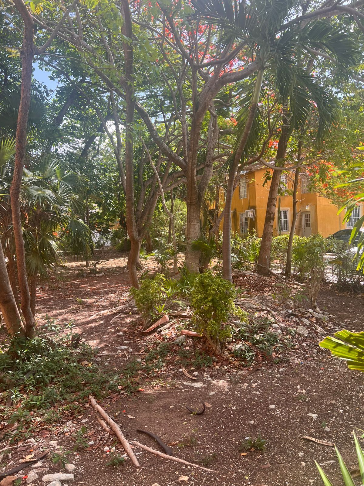 3 de 13