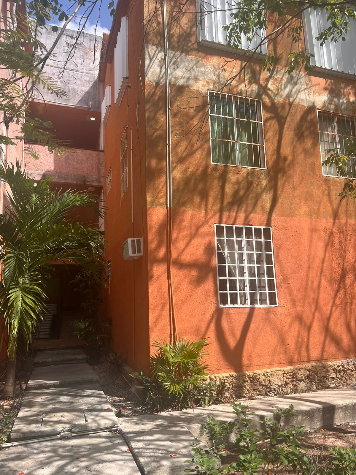 5 de 13
