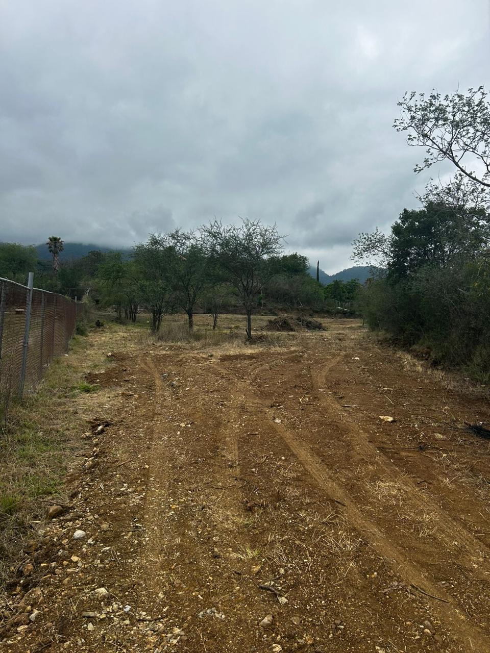 13 de 16