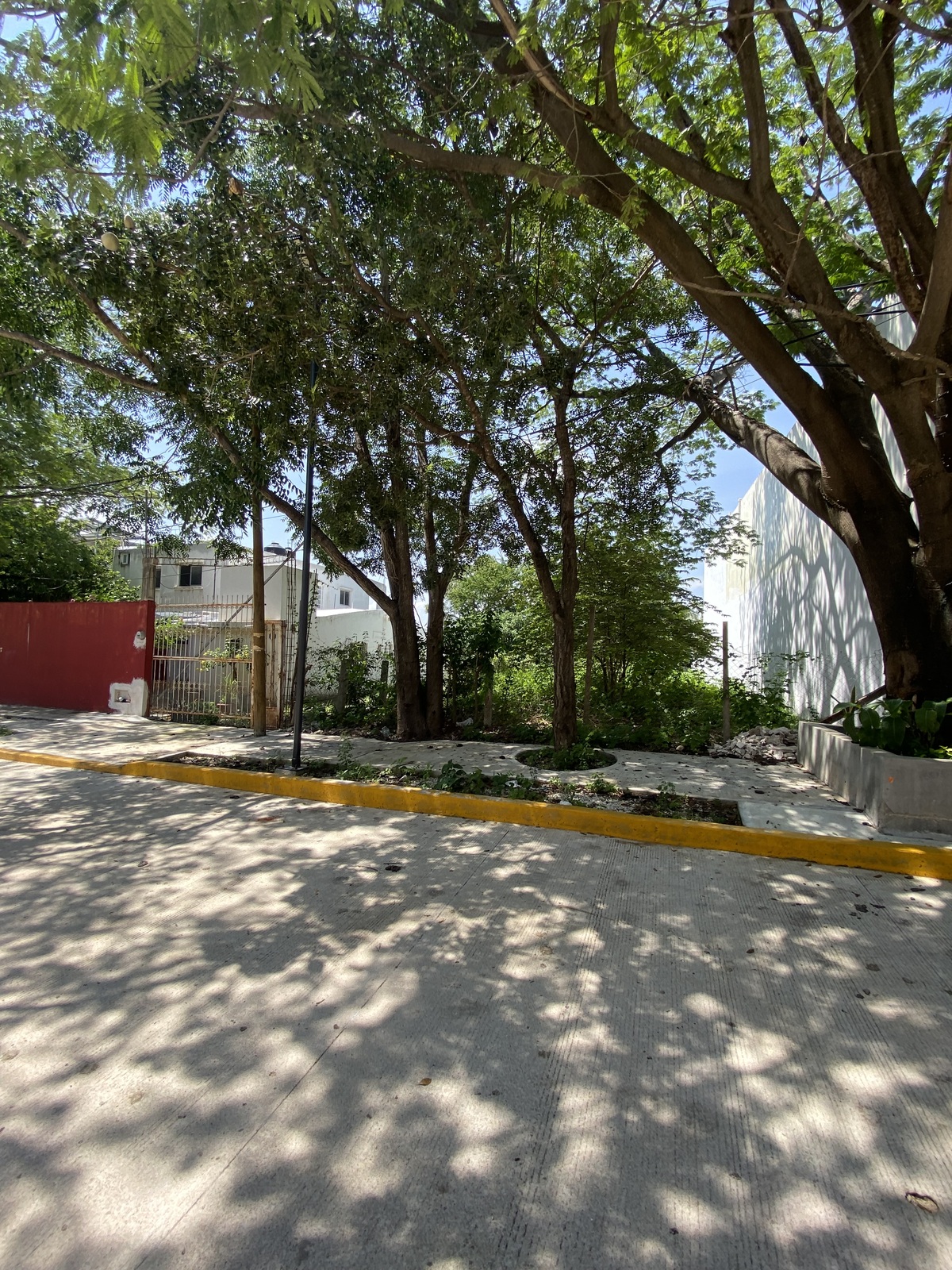 1 de 6