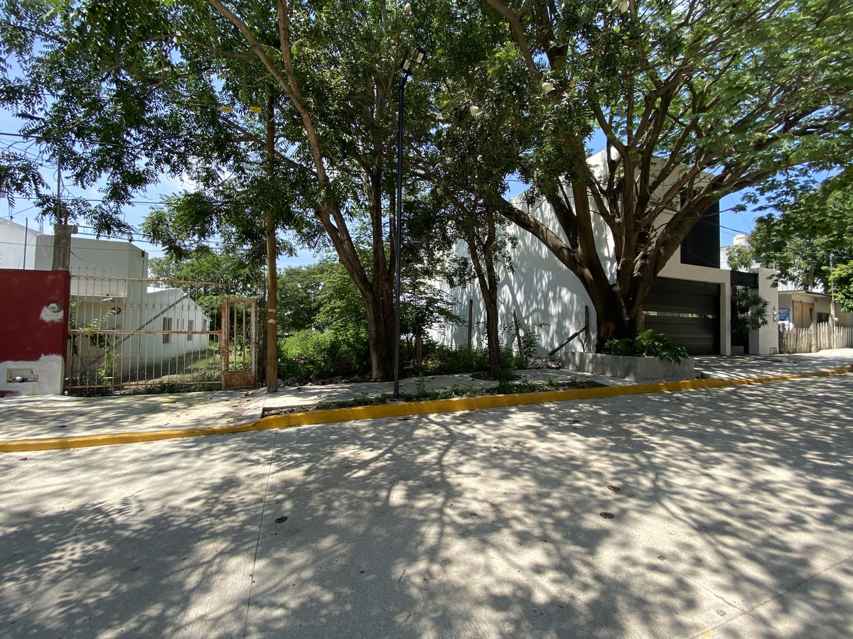 2 de 6