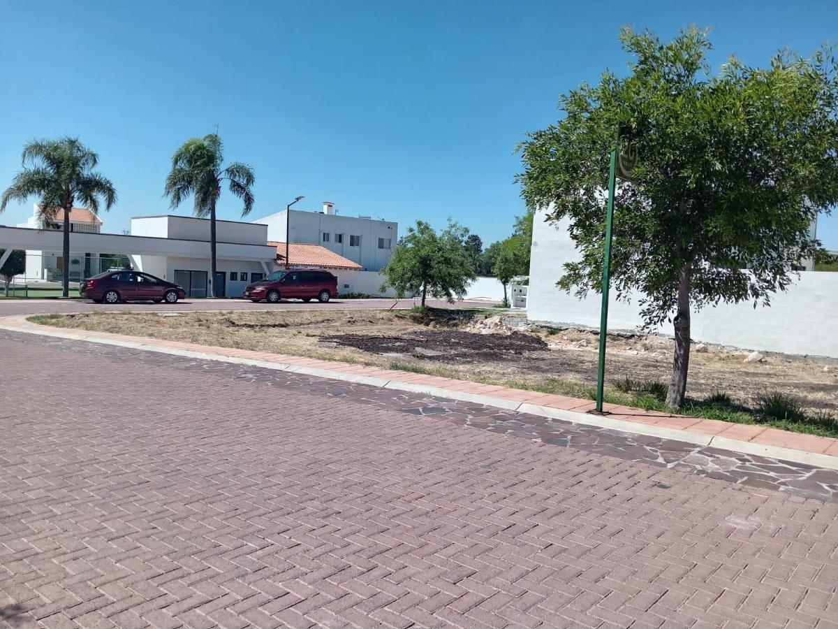 5 de 7