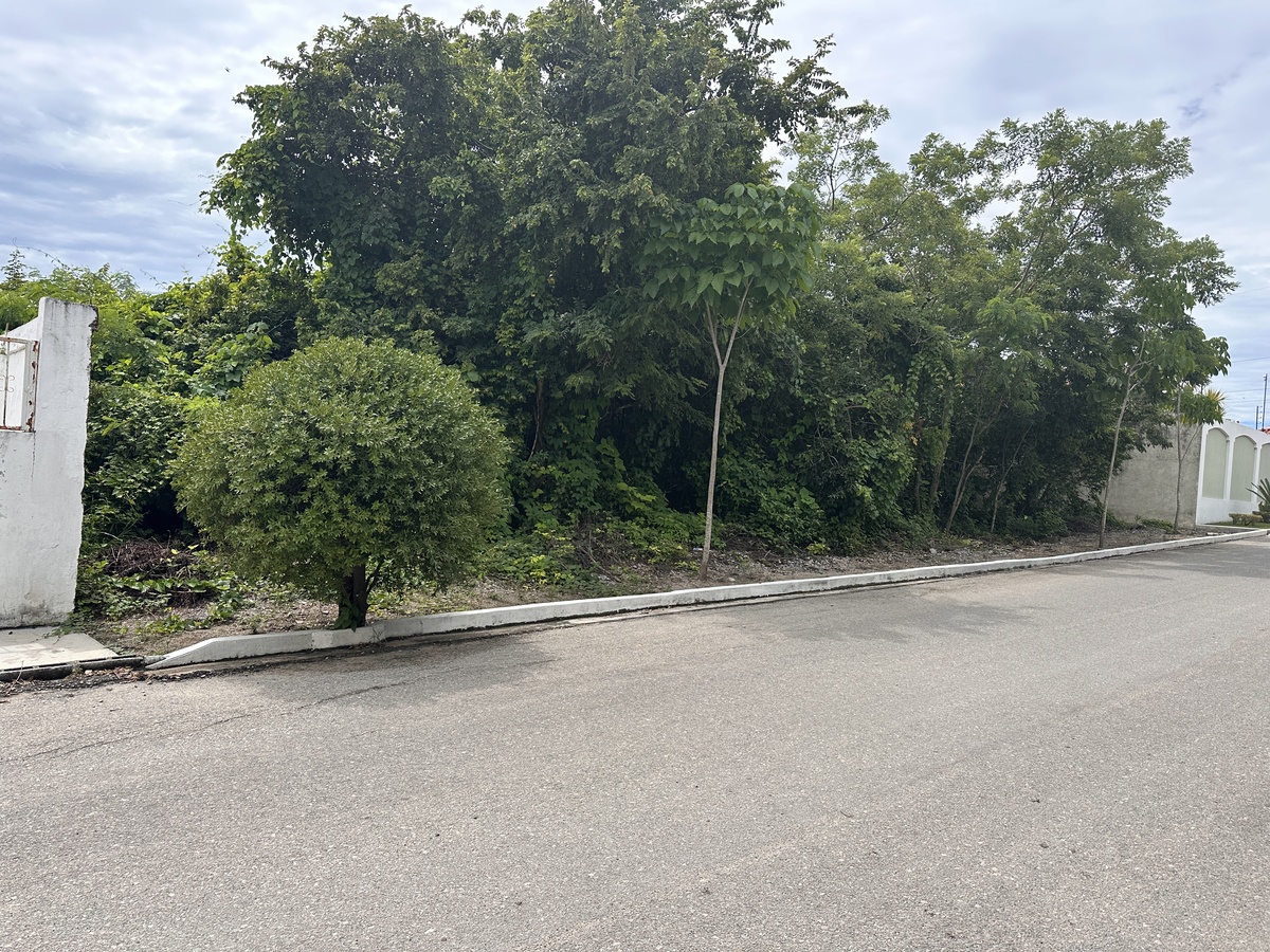4 de 7