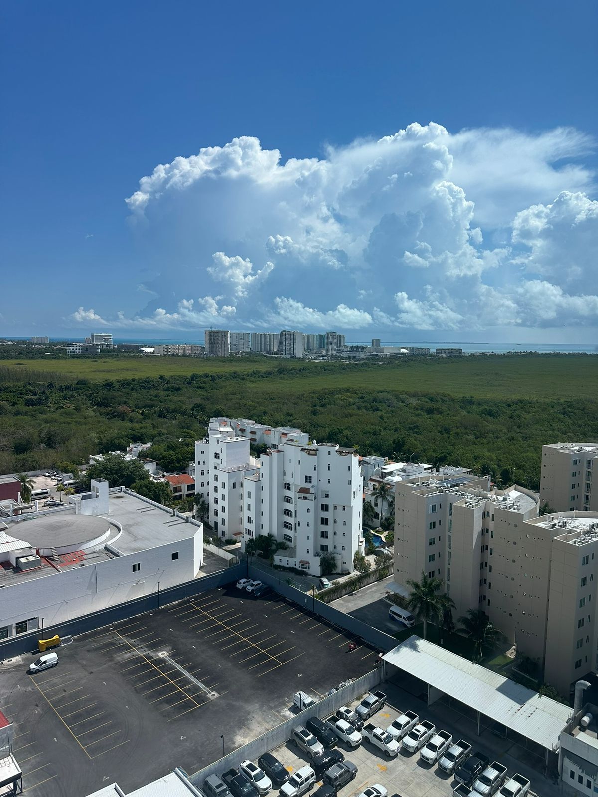 5 de 10