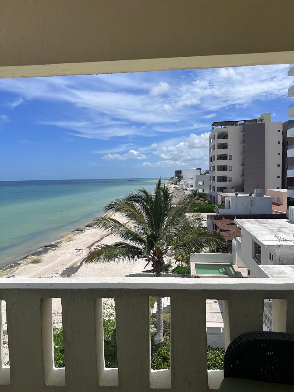 9 de 17