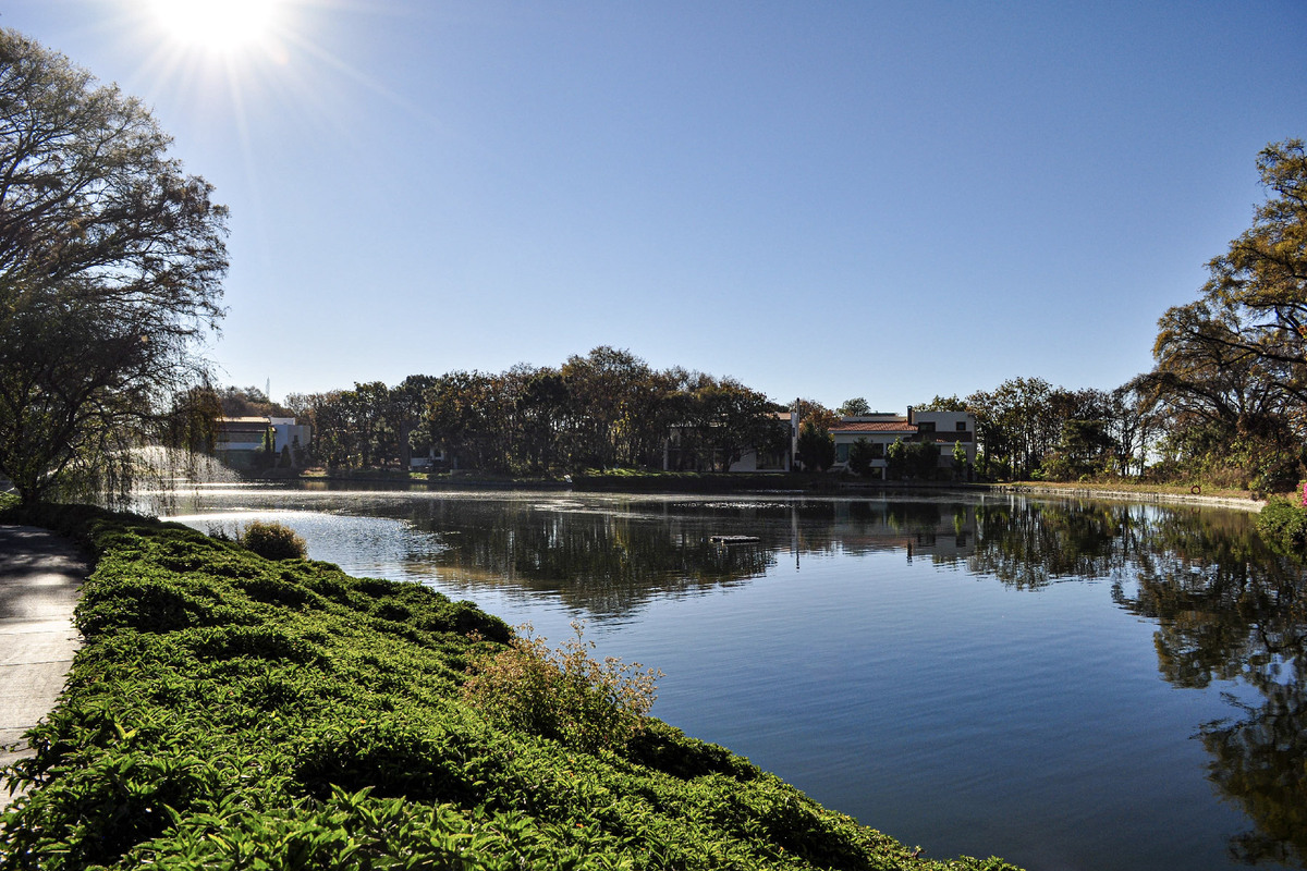 2 de 10: Vista al lago