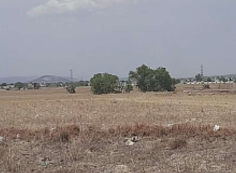 3 de 6