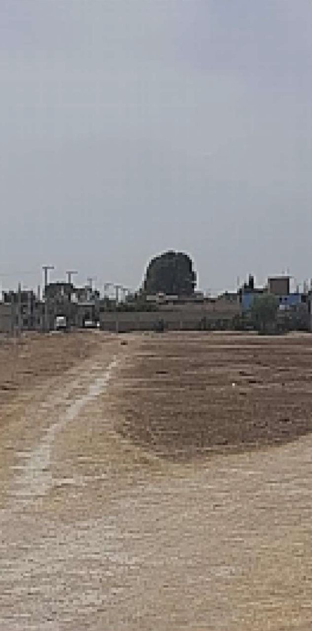 4 de 6