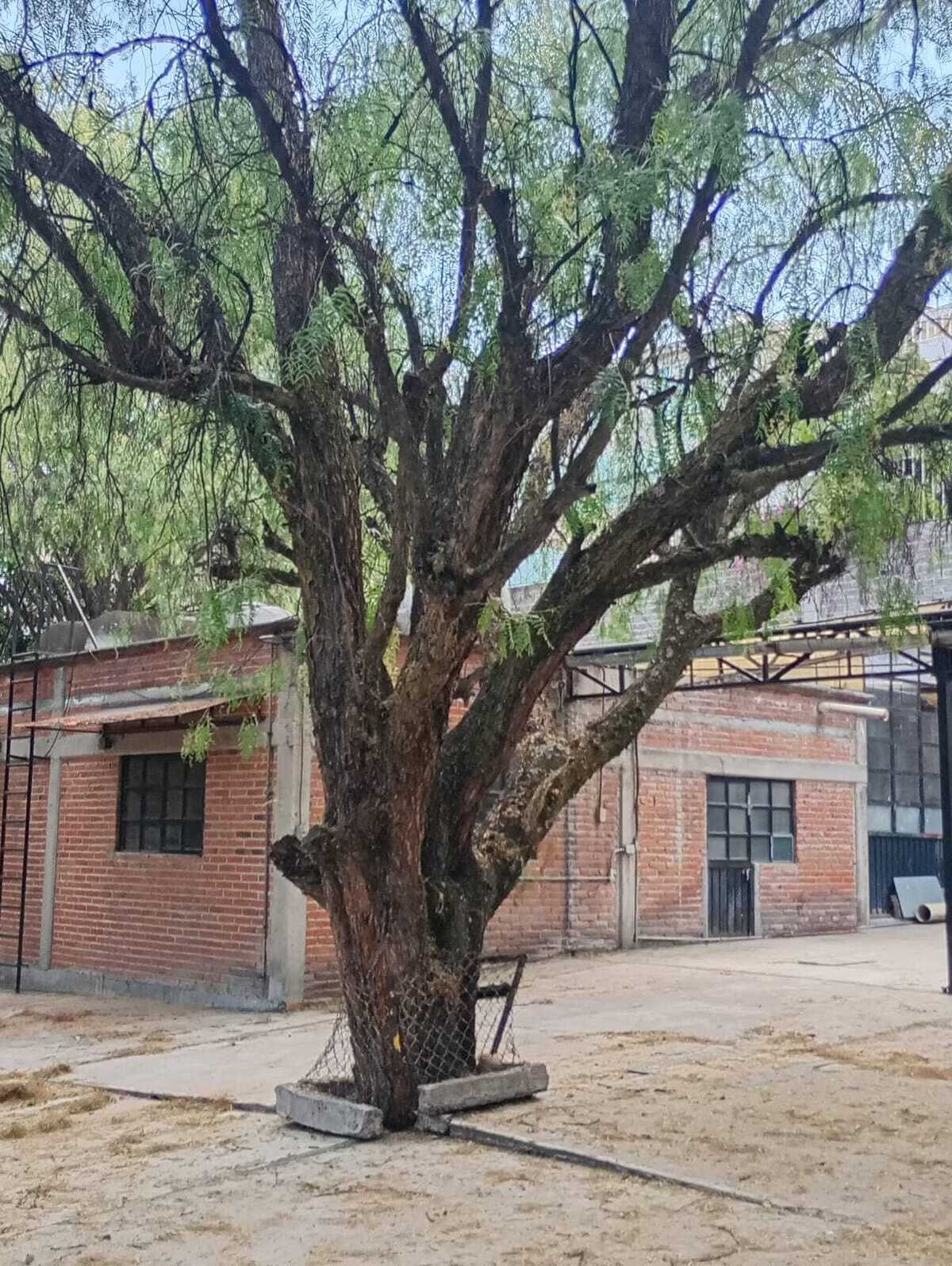 7 de 16