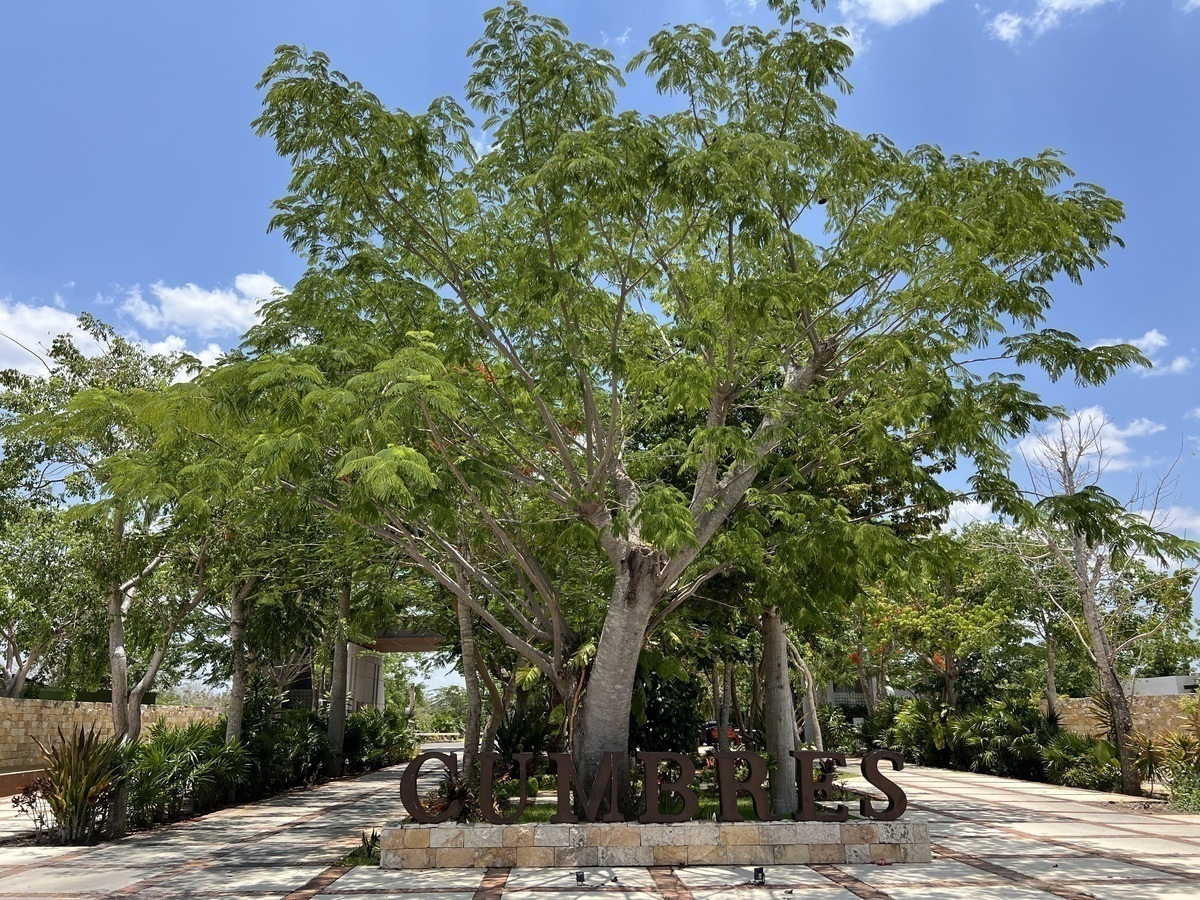 13 de 23