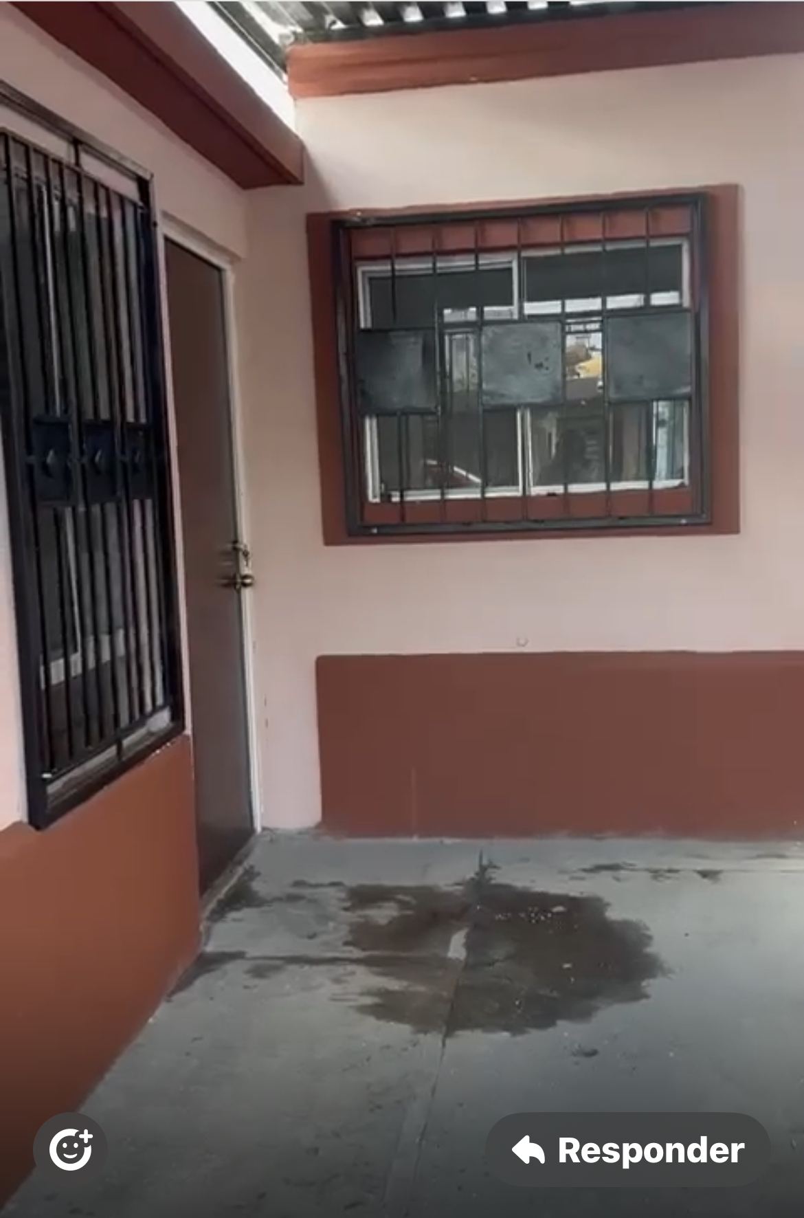 3 de 3